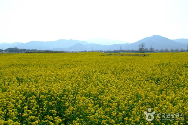 Hwangnyongsaji  (5/5)