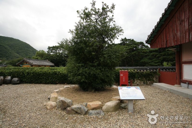 Bogyungsa Temple  (2/5)