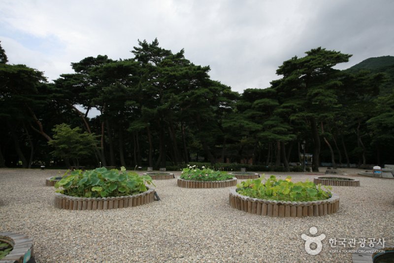 Bogyungsa Temple  (3/5)