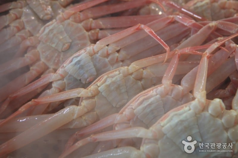 Pohang Jukdo Market  (13/16)