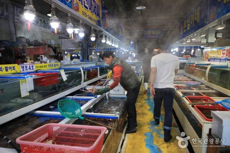 Pohang Jukdo Market  (15/16)
