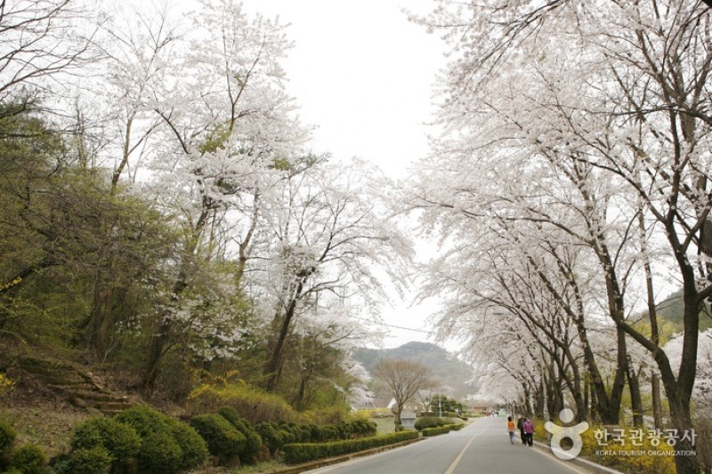 Geumosan Provincial Park  (1/12)