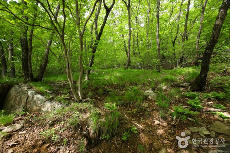 Geumosan Provincial Park  (5/12)
