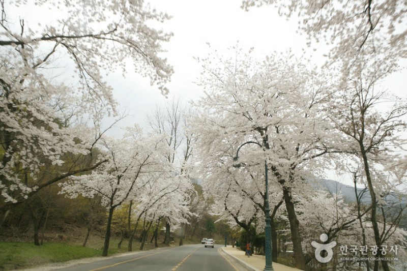 Geumosan Provincial Park  (8/12)