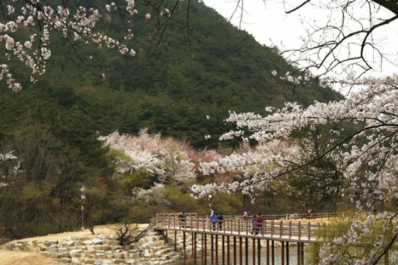Geumosan Provincial Park  (12/12)