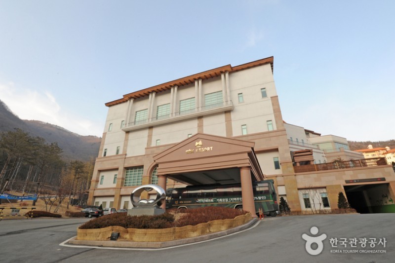 STX Resort  (13/27)