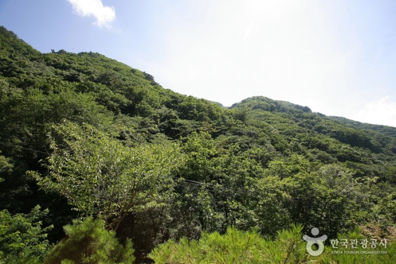 Cheongnyangsan Provincial Park  (4/23)