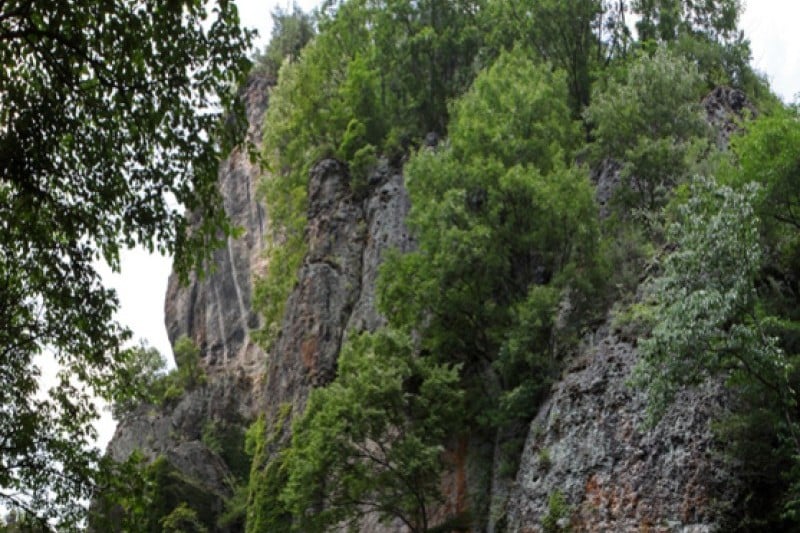 Cheongnyangsan Provincial Park  (8/23)