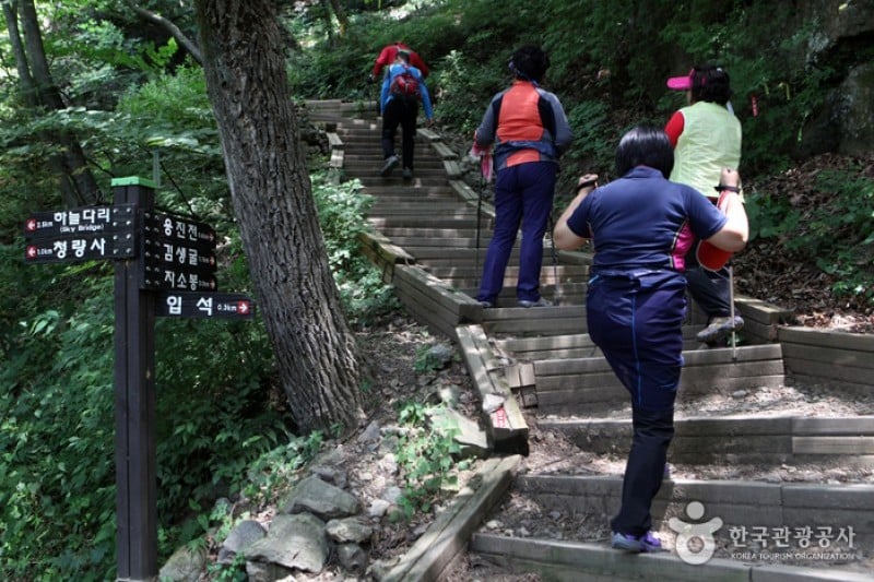 Cheongnyangsan Provincial Park  (11/23)