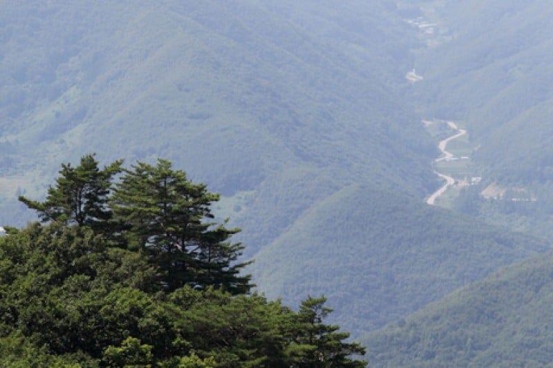 Cheongnyangsan Provincial Park  (13/23)