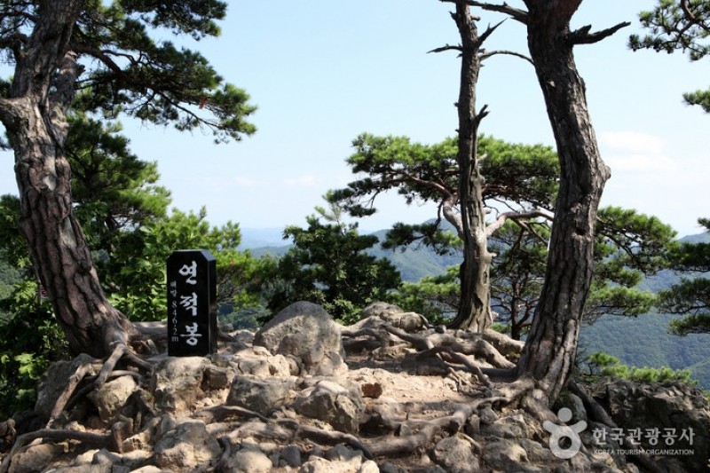 Cheongnyangsan Provincial Park  (14/23)