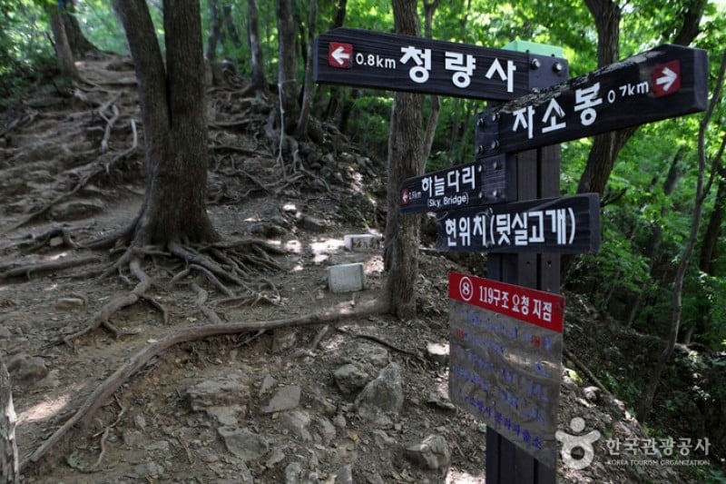 Cheongnyangsan Provincial Park  (18/23)