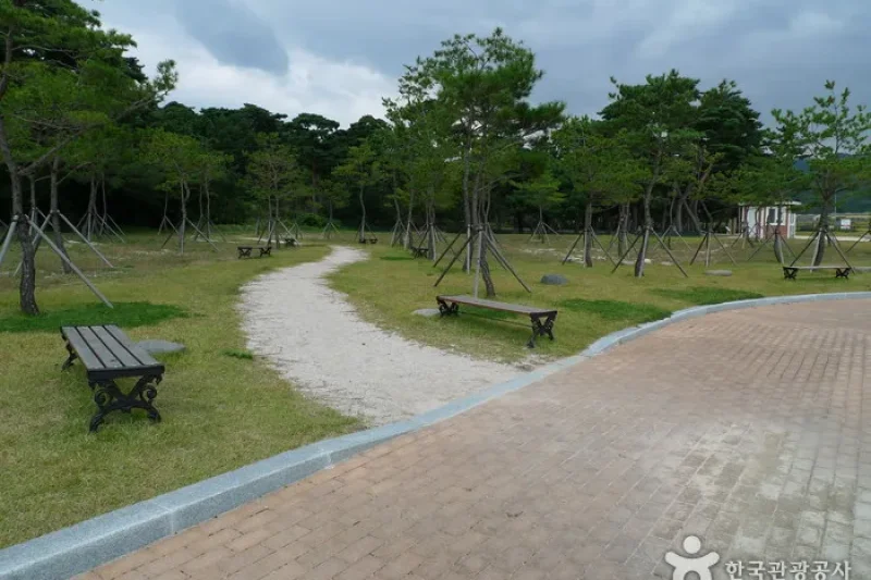 Gyeongju Gwaereung Tomb (경주 원성왕릉) (4/12)