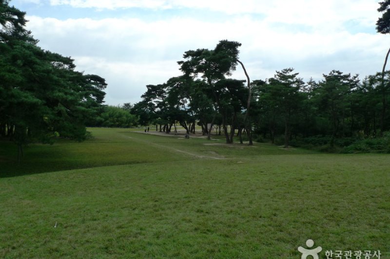 Gyeongju Gwaereung Tomb (경주 원성왕릉) (7/12)