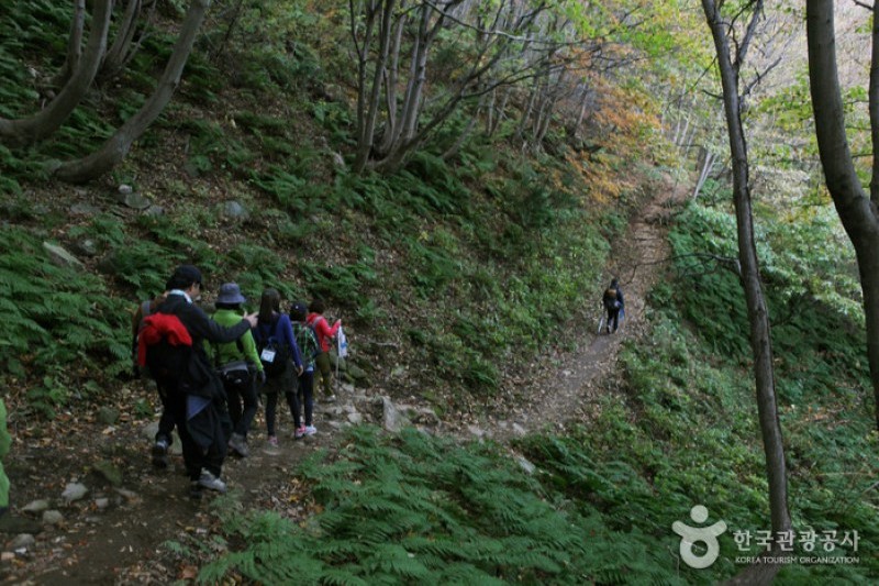 Seonginbong Peak  (5/15)