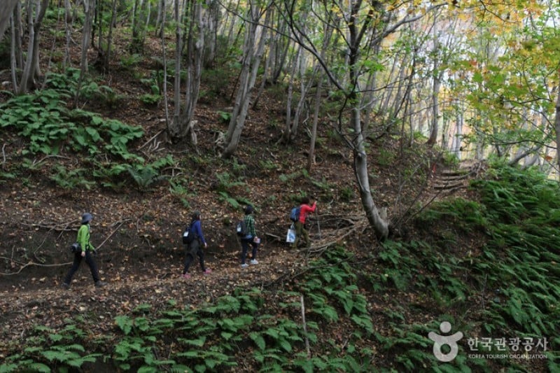 Seonginbong Peak  (6/15)