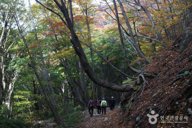 Seonginbong Peak  (10/15)