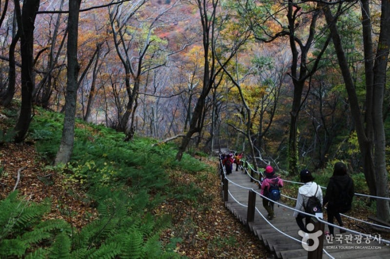 Seonginbong Peak  (11/15)