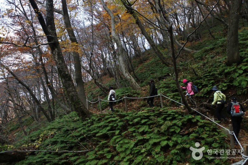 Seonginbong Peak  (13/15)