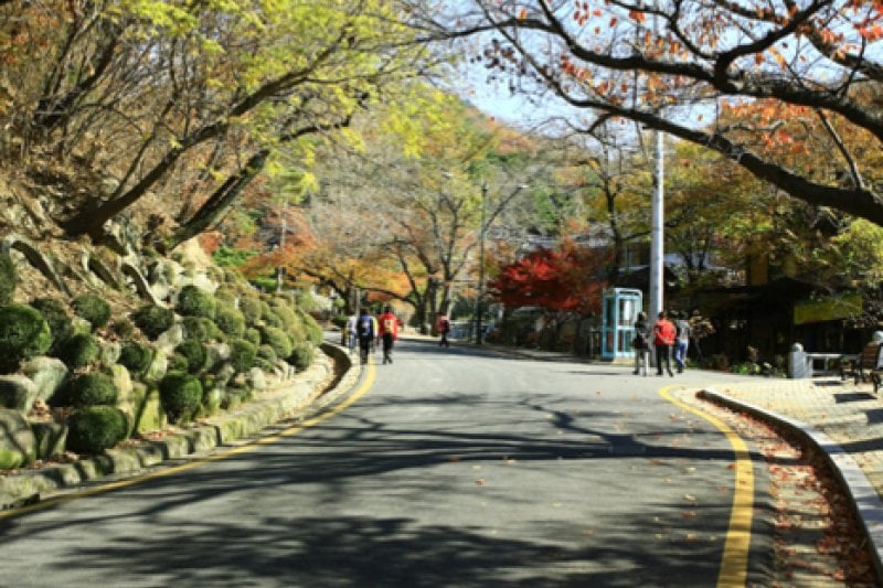 Palgongsan Provincial Park  (2/9)