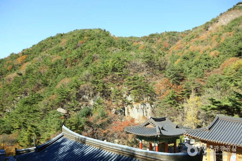 Palgongsan Provincial Park  (4/9)