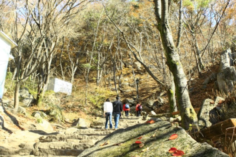 Palgongsan Provincial Park  (5/9)