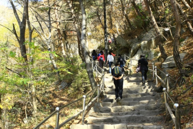 Palgongsan Provincial Park  (6/9)