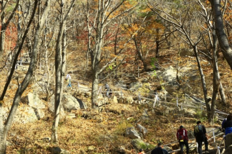Palgongsan Provincial Park  (8/9)