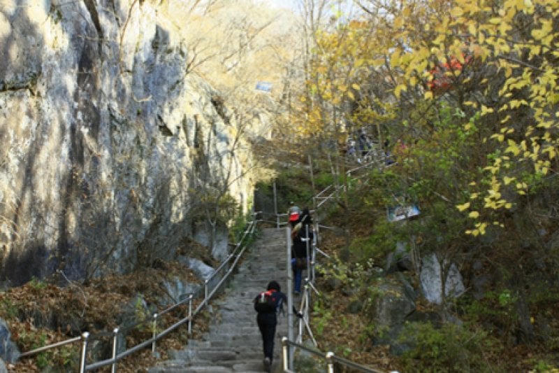Palgongsan Provincial Park  (9/9)
