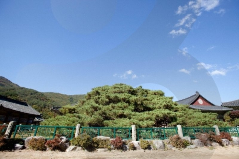 Unmunsa Temple  (2/10)