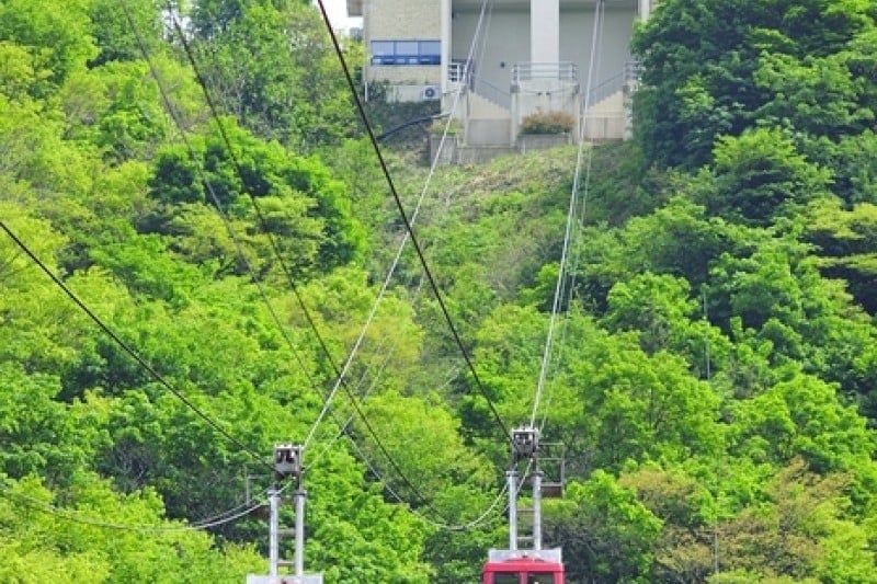 Dokdo Island Observatory Cable Car  (4/4)