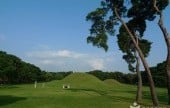 Gyeongju Oreung Royal Tombs 