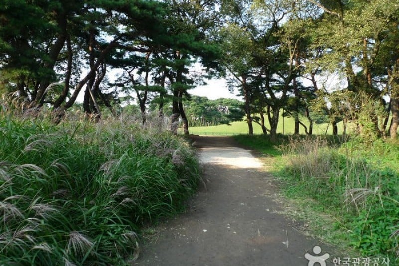 Gyeongju Oreung Royal Tombs  (5/28)