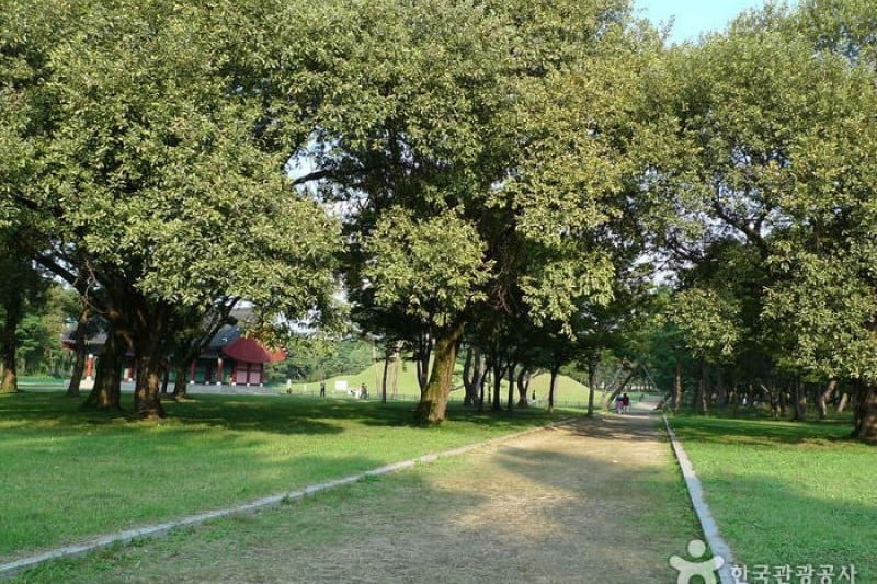 Gyeongju Oreung Royal Tombs  (9/28)