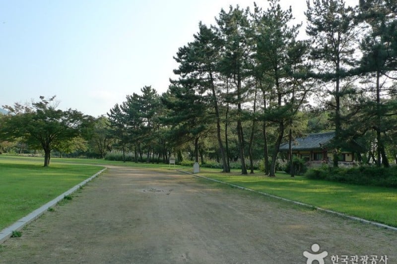 Gyeongju Oreung Royal Tombs  (10/28)