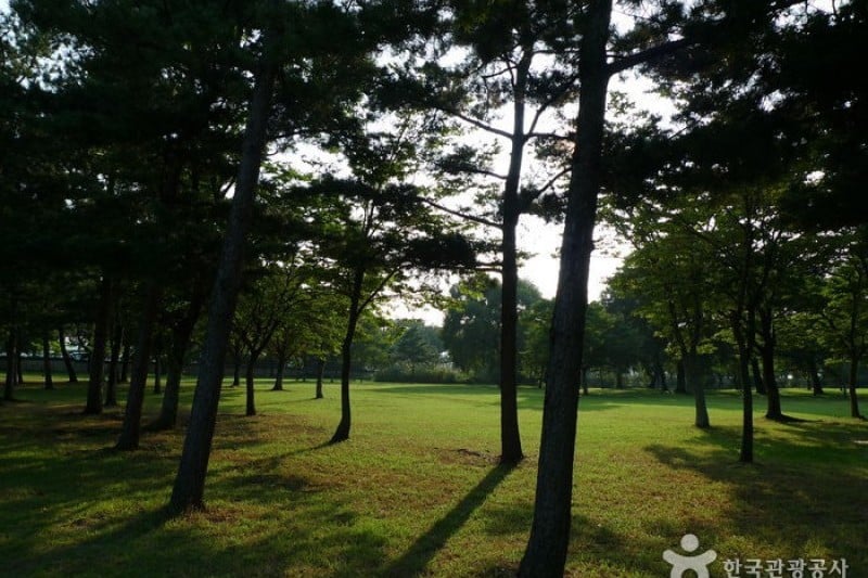 Gyeongju Oreung Royal Tombs  (11/28)