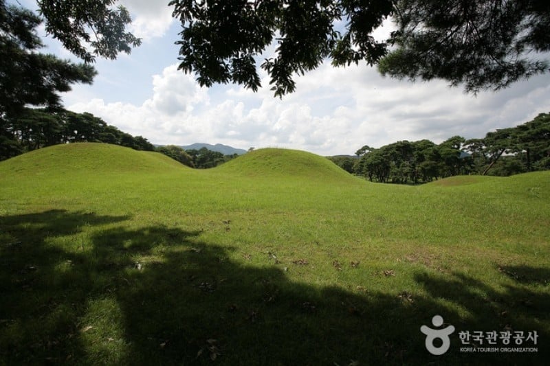 Gyeongju Oreung Royal Tombs  (22/28)