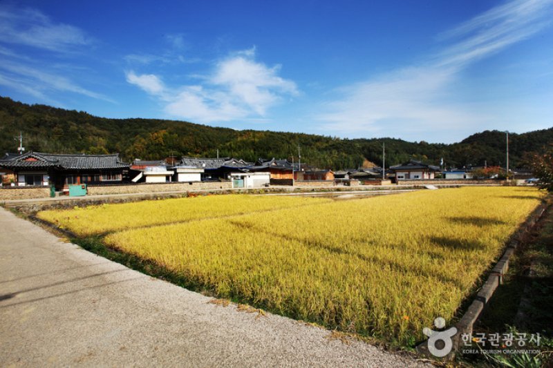 Goryeong Gaesil Village  (2/26)