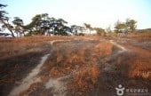 Gyeongju Najeong Well 