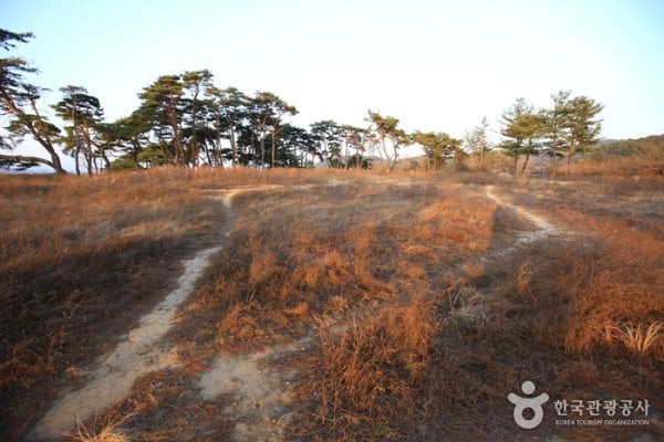 Gyeongju Najeong Well