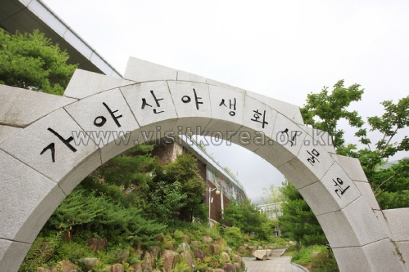Gayasan Wildflower Botanical Garden  (2/27)