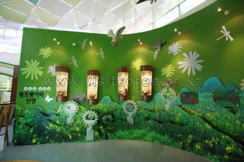 Gayasan Wildflower Botanical Garden  (7/27)