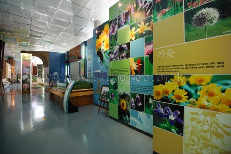 Gayasan Wildflower Botanical Garden  (10/27)