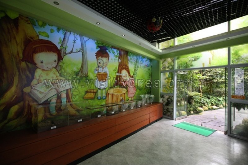 Gayasan Wildflower Botanical Garden  (15/27)