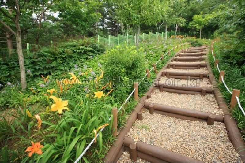 Gayasan Wildflower Botanical Garden  (23/27)