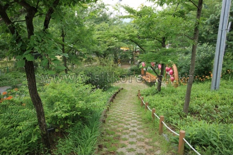 Gayasan Wildflower Botanical Garden  (24/27)