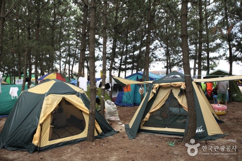 Goraebul Beach  (3/16)