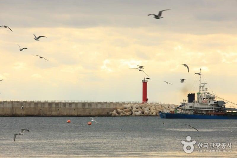 Gangguhang Port  (5/31)