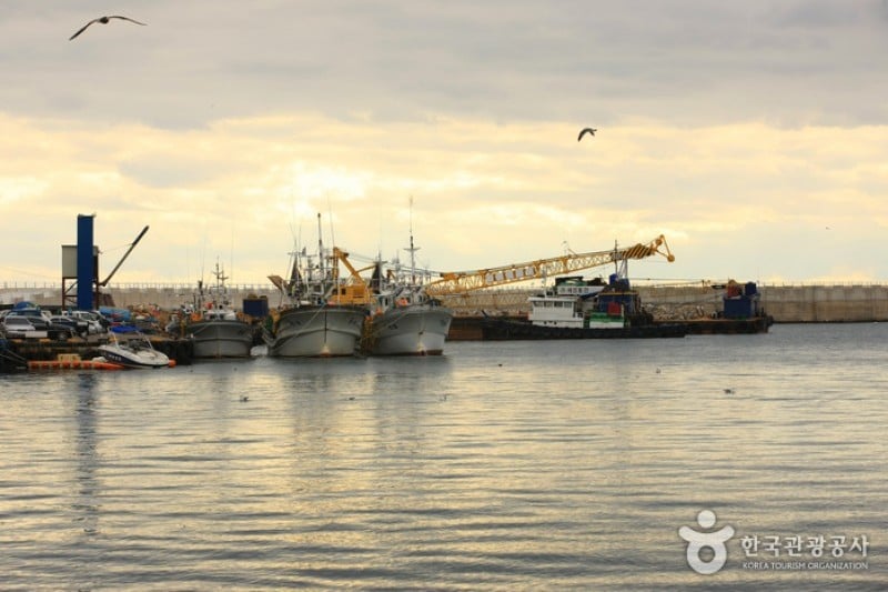 Gangguhang Port  (6/31)