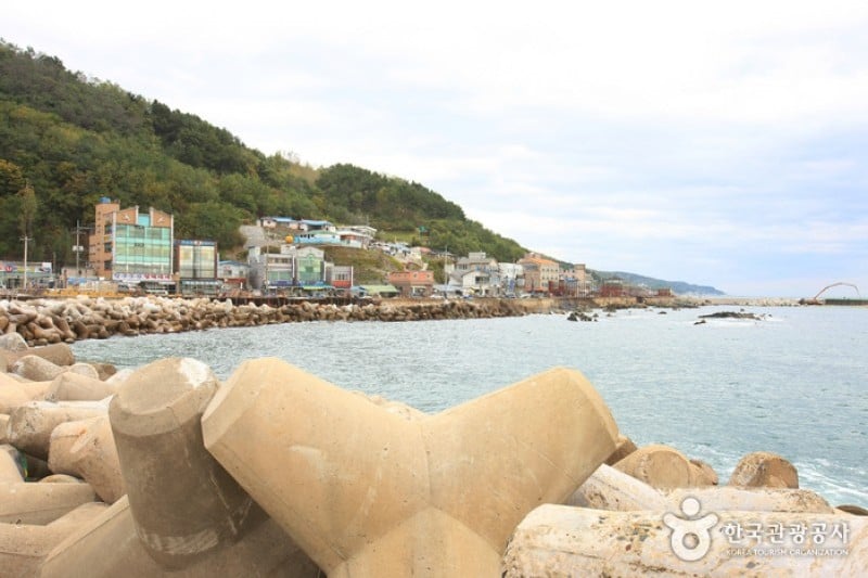 Gangguhang Port  (8/31)